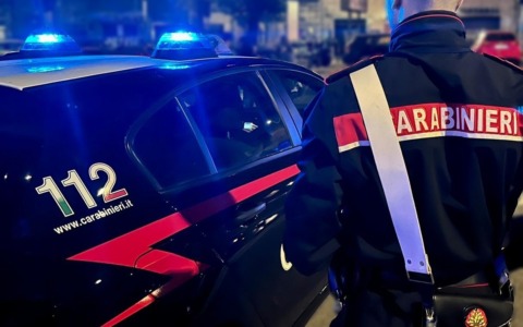 Laghetto dei giardini, cura e allarme per le tartarughe