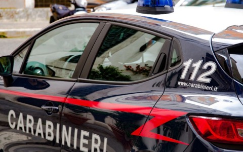 Cavalli denutriti affidati a una fondazione dopo il sequestro