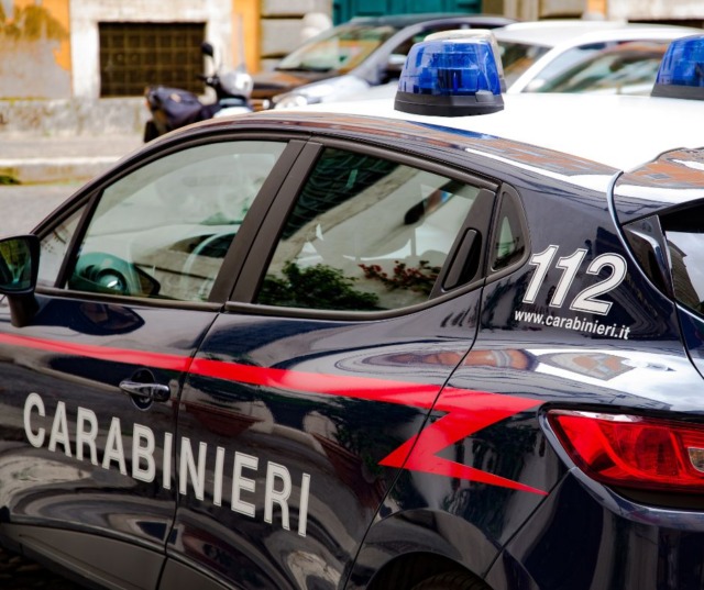 Cavalli denutriti affidati a una fondazione dopo il sequestro