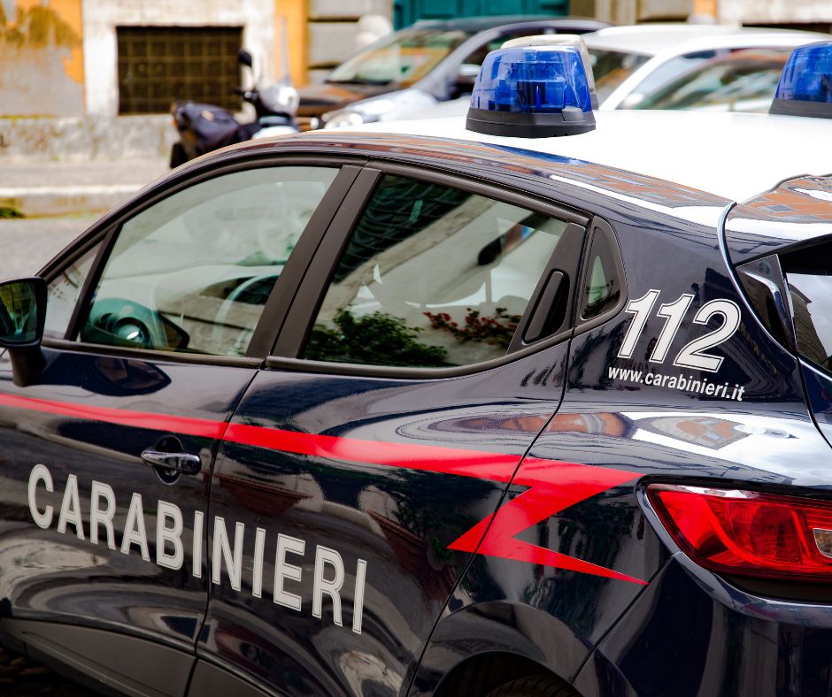Cavalli denutriti affidati a una fondazione dopo il sequestro