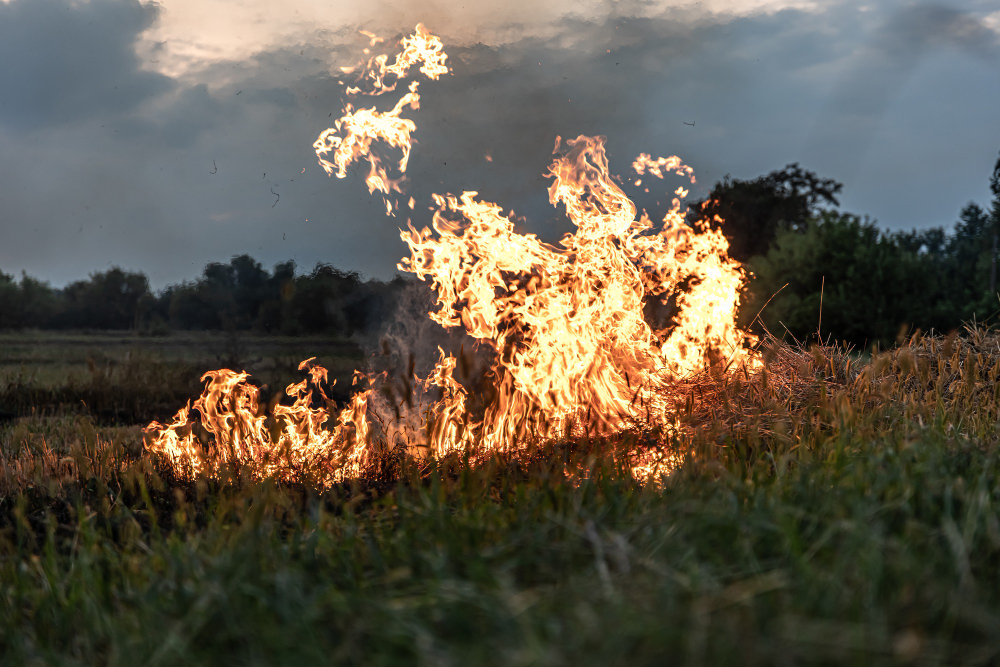 Lo stato di emergenza per gli incendi si estende in Piemonte
