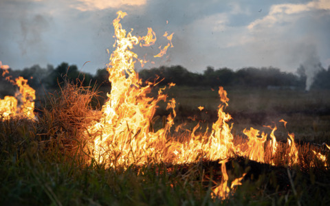 Auto distrutta dalle fiamme, rallentamenti sull’autostrada
