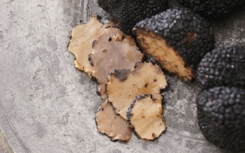 A Moncalvo torna la Fiera nazionale del tartufo